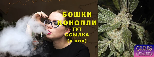 ГАЛЛЮЦИНОГЕННЫЕ ГРИБЫ Покров