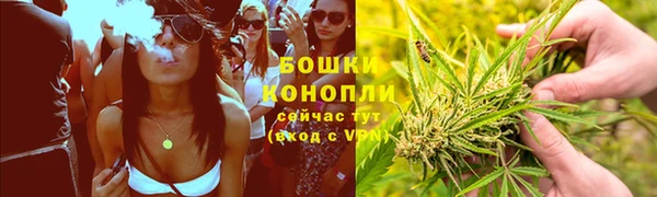 ГАЛЛЮЦИНОГЕННЫЕ ГРИБЫ Покров