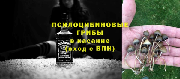 дживик Инта