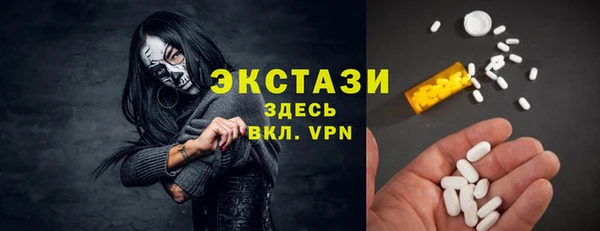 дживик Инта