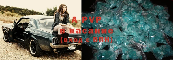 ГАЛЛЮЦИНОГЕННЫЕ ГРИБЫ Покров